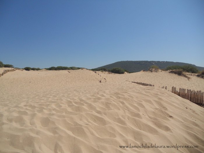 varias muchas 031 copia