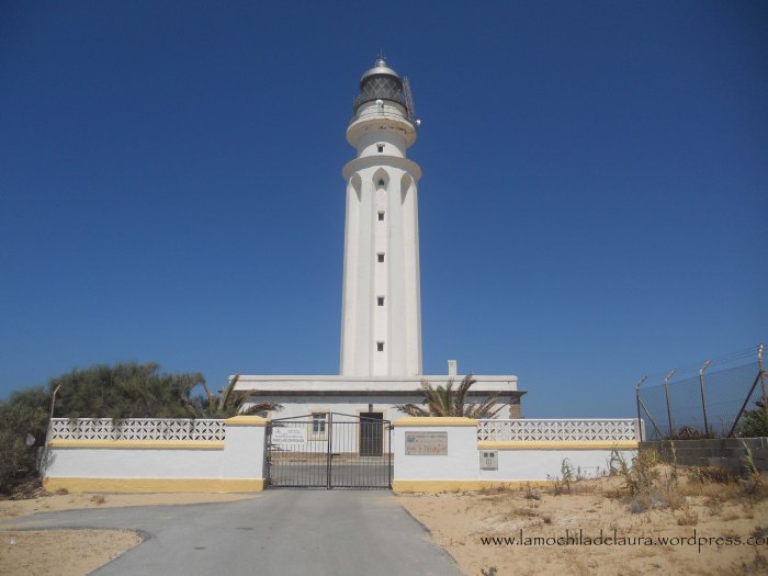 varias muchas 045 copia