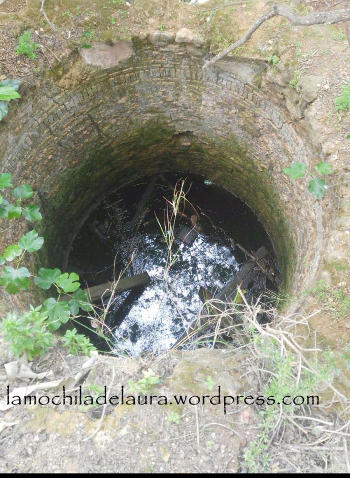 IMG-20170212-WA0002 copia