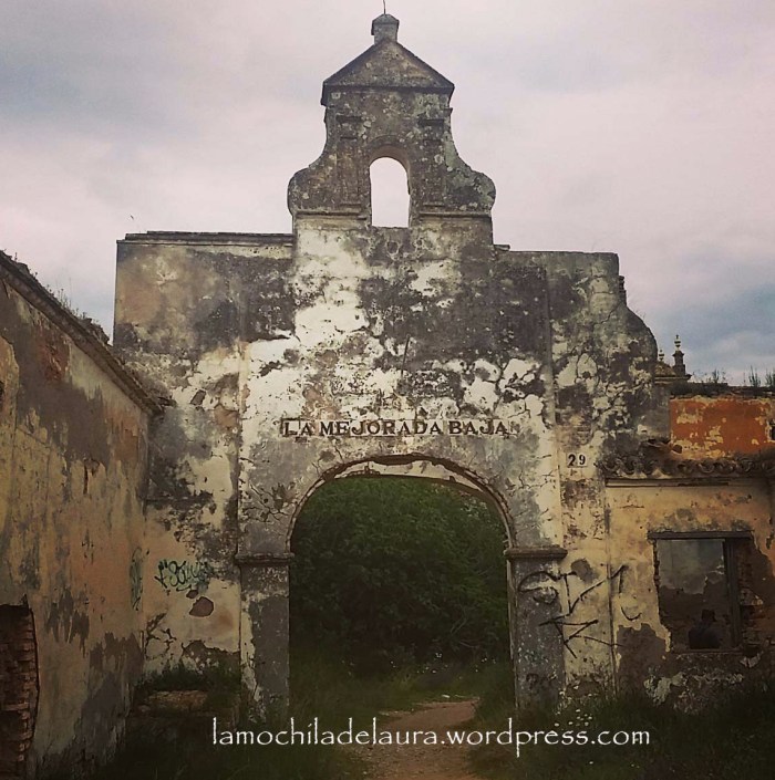 IMG_20160422_191342 copia