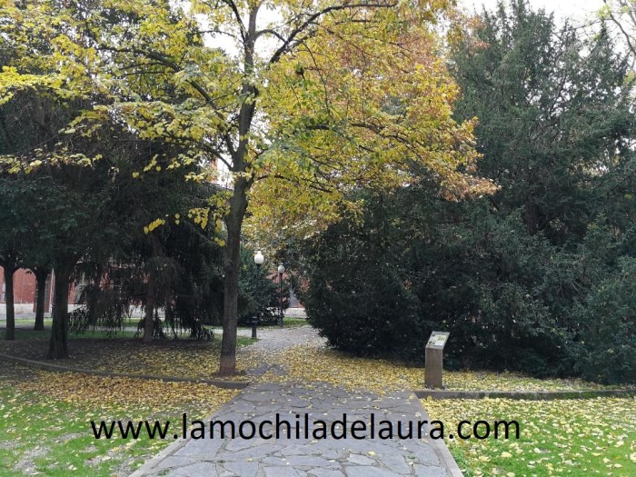 Plaza del Viejo Coso