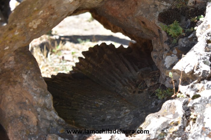 Piedra del abanico Calatañazor